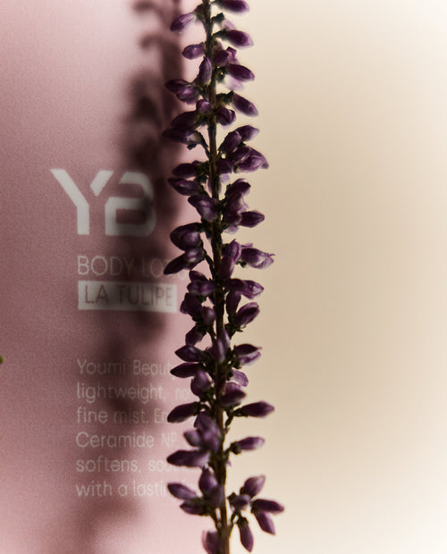 Herbal Hydration Body Lotion